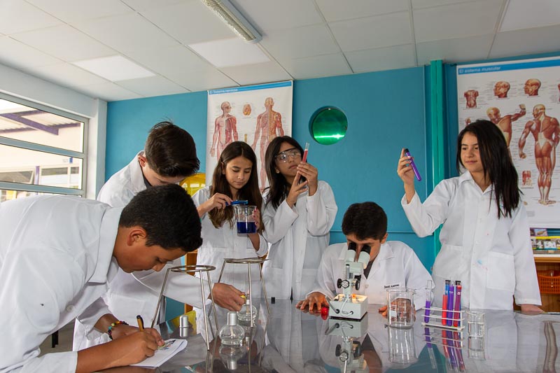Descubre Asian American School en Cuenca