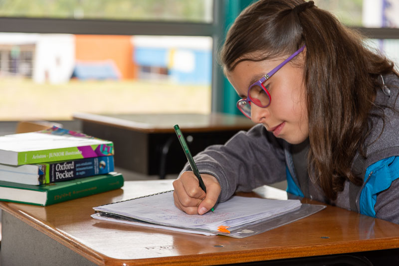 Descubre Asian American School en Cuenca